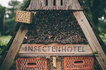 Hébergement de vacances Domein Hengelhoef Aan de Wolfsberg
